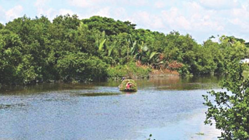Chitra river.jpg