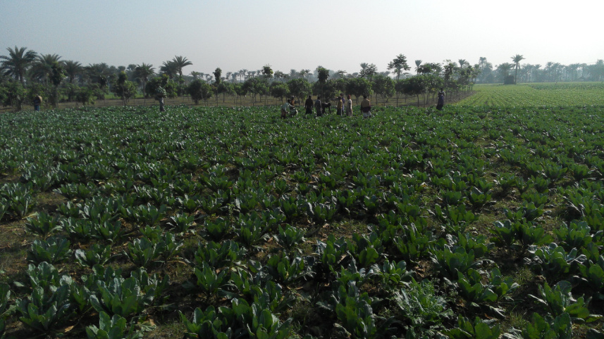 Chuadanga Sadar.jpg