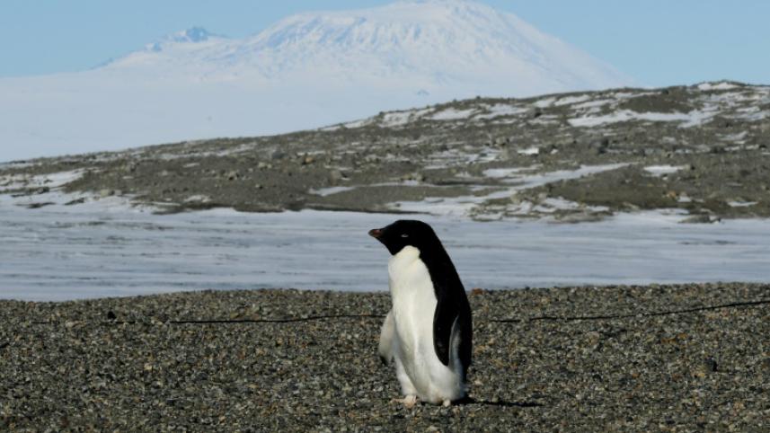 Climate__Change__AFP.jpg