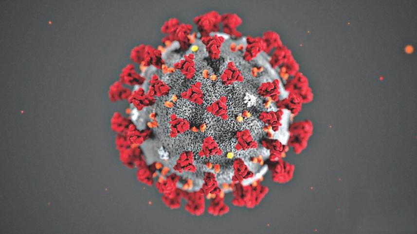 corona virus.jpg