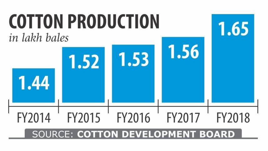 cotton.jpg