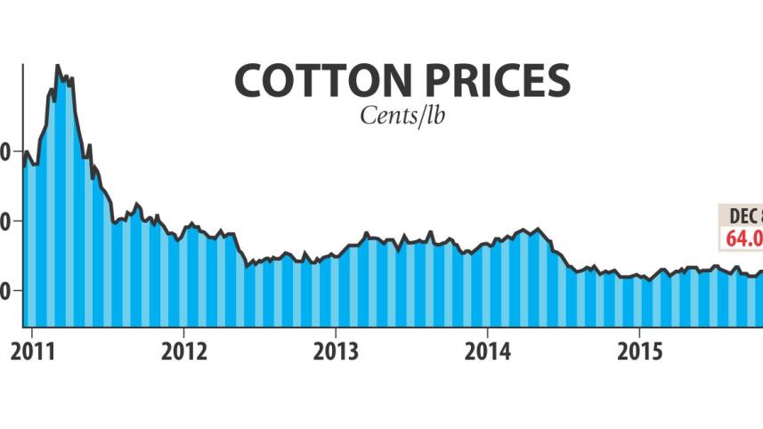 Cotton use.jpg