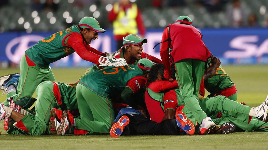 Cricket.jpg