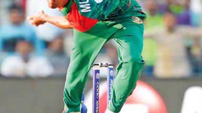 Cricket