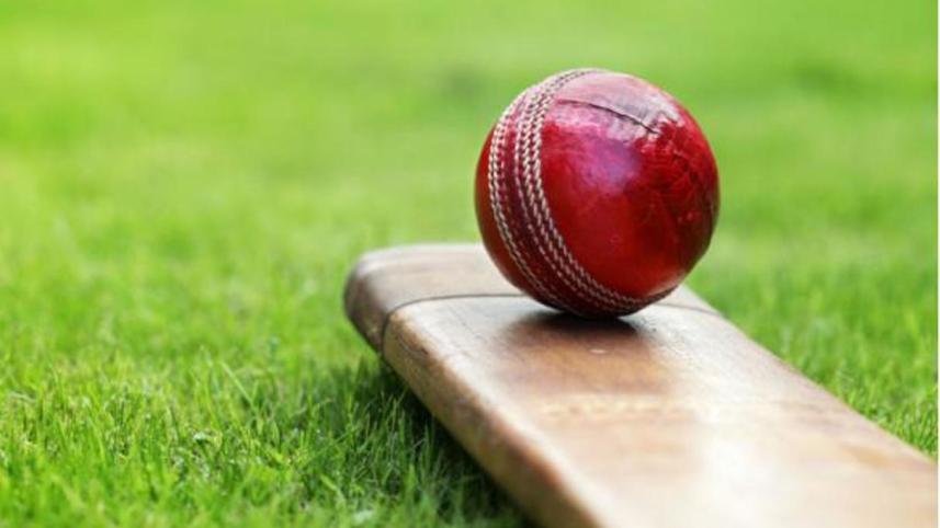 cricket logo.jpg
