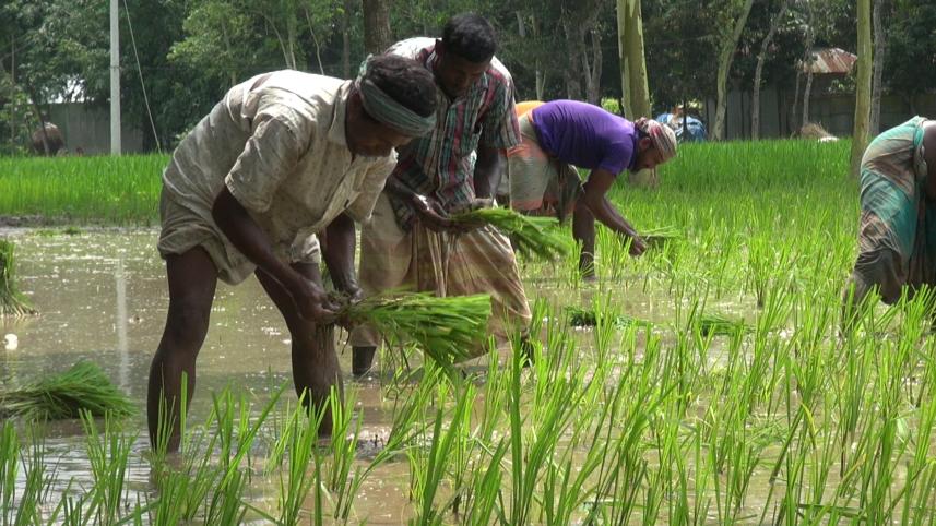 cultivation.jpg