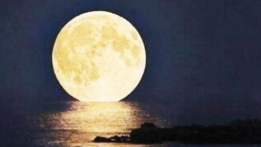 dear-moon.jpg