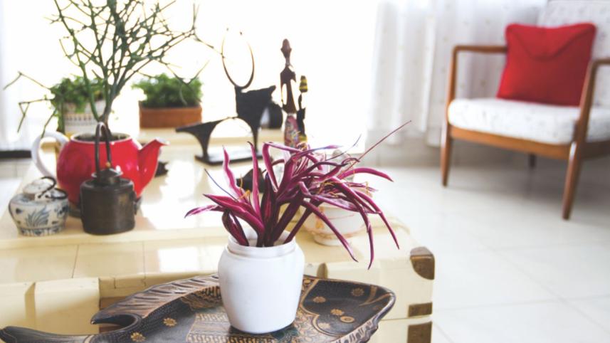 decor