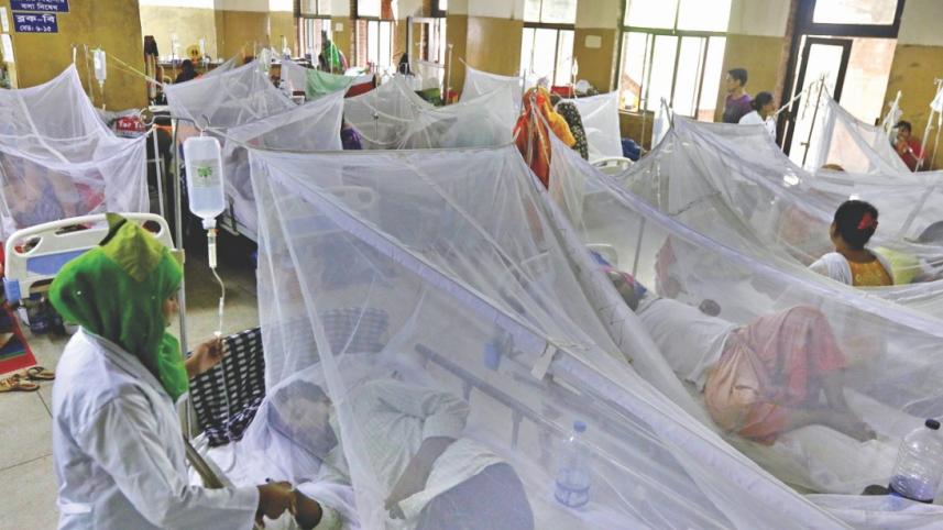 Dengue in Dhaka