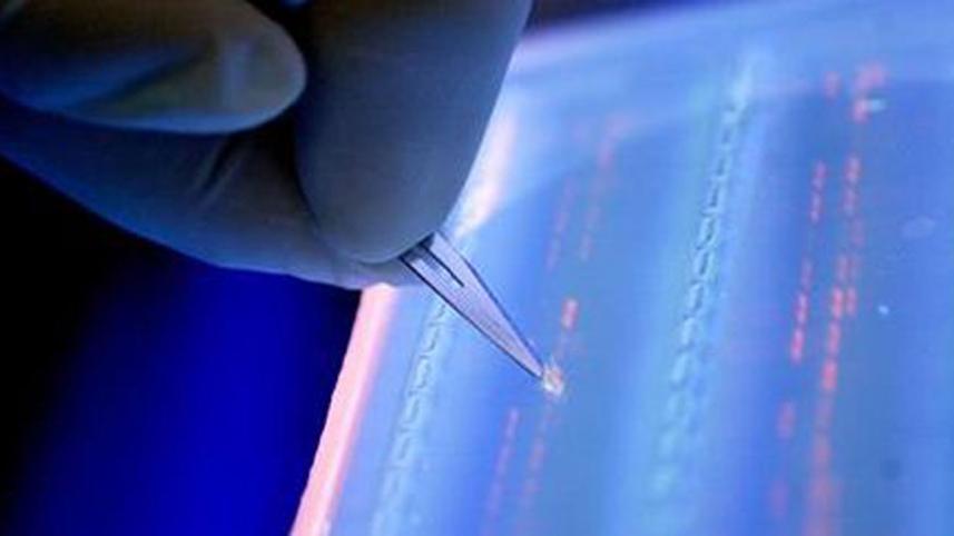 DNA-WEB.jpg