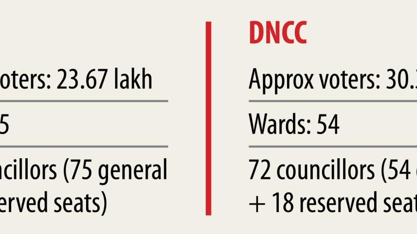 dscc dncc polls.jpg