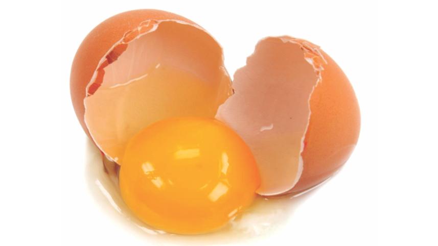 egg.jpg
