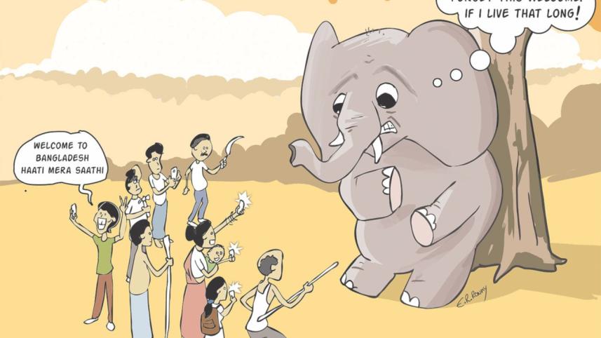 Elephant's Mouth