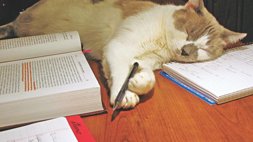 exam preparations