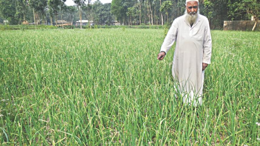 Farmer Acchim Uddin.jpg