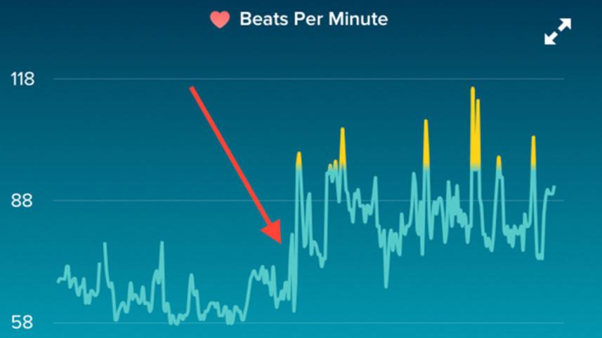FITBIT-1WB.jpg