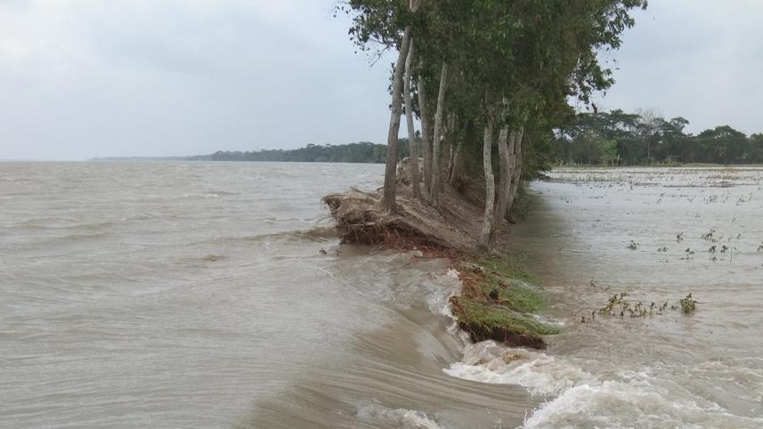 flood-web.jpg
