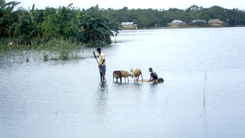 Flood