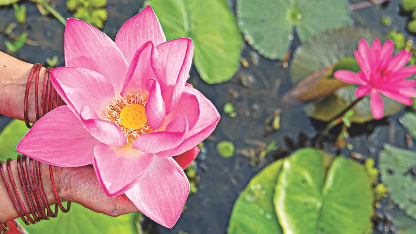 Flower.jpg