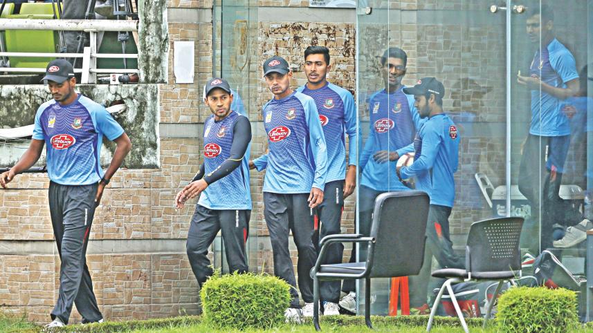 focus cricket 1.jpg