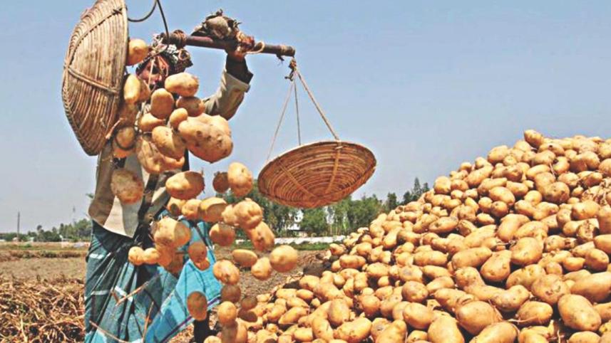 food security.jpg