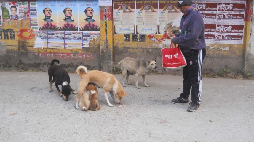 Friend of dogs.jpg