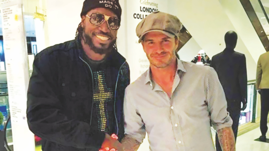 gayle.jpg