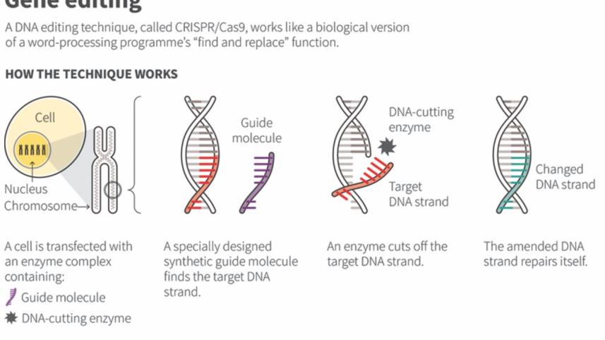 gene.jpg