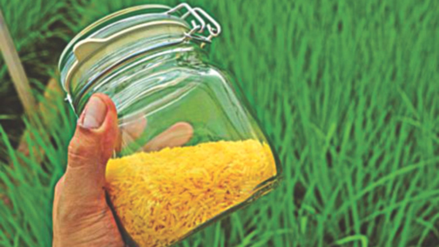 Beta carotene-rich golden rice