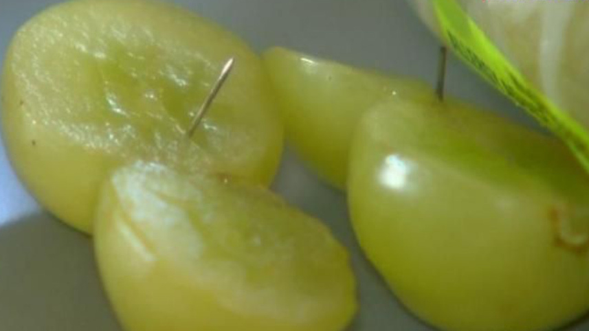 grape-web.jpg
