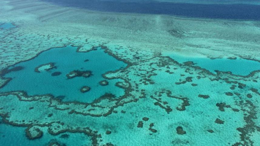 Great-Reef.jpg