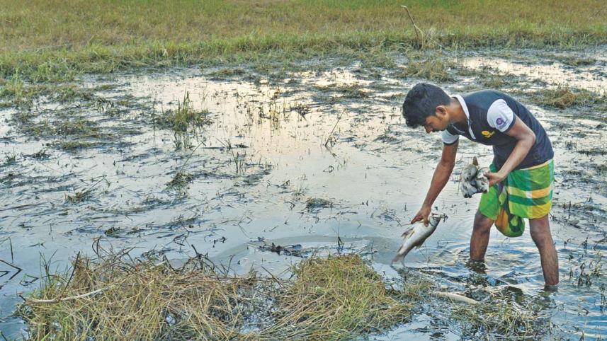 halda pollution.jpg