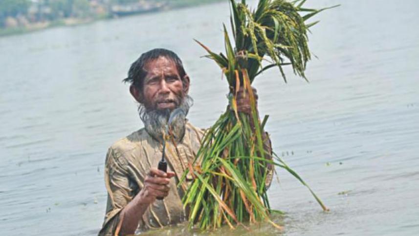 haor-embankment.jpg