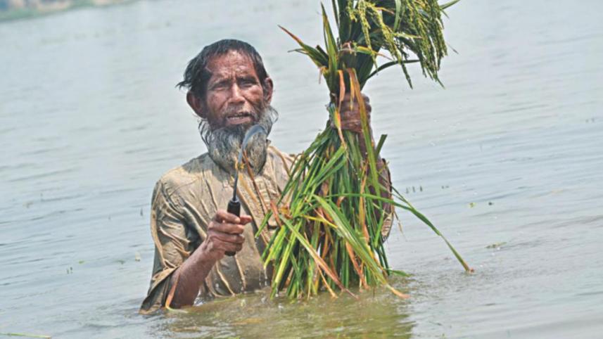 haor-flash-flood