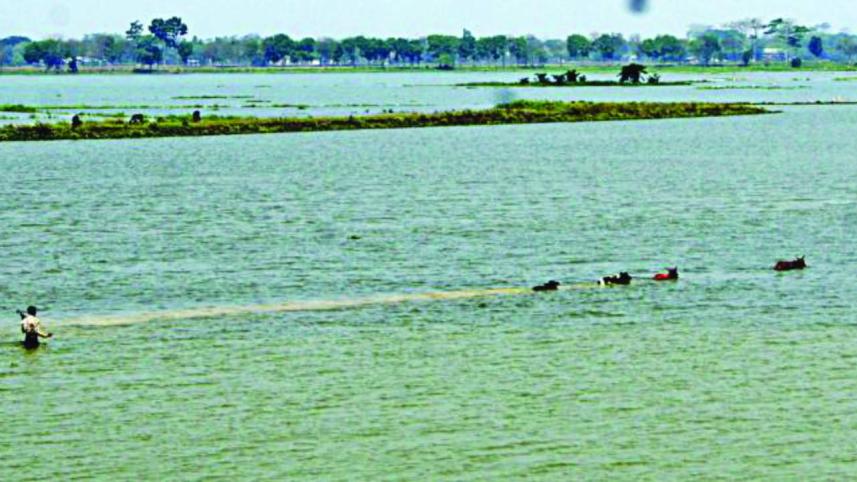 haor basin