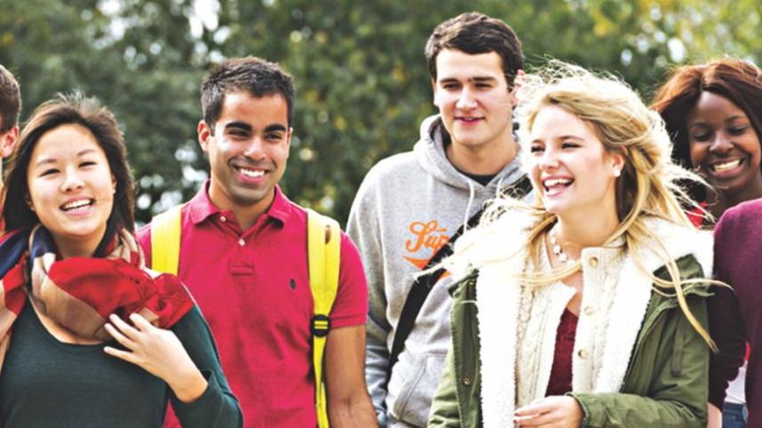 higher education