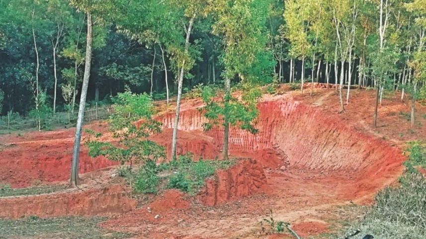 hill cutting