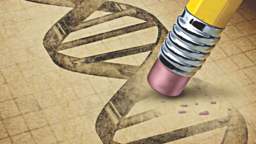 human gene.jpg