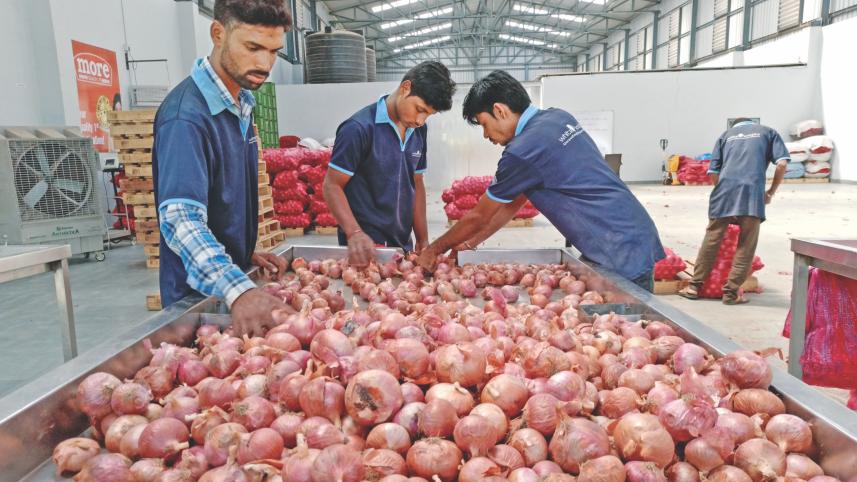 india onion ban.jpg