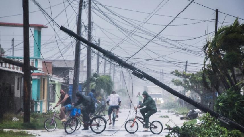 Irma.jpg