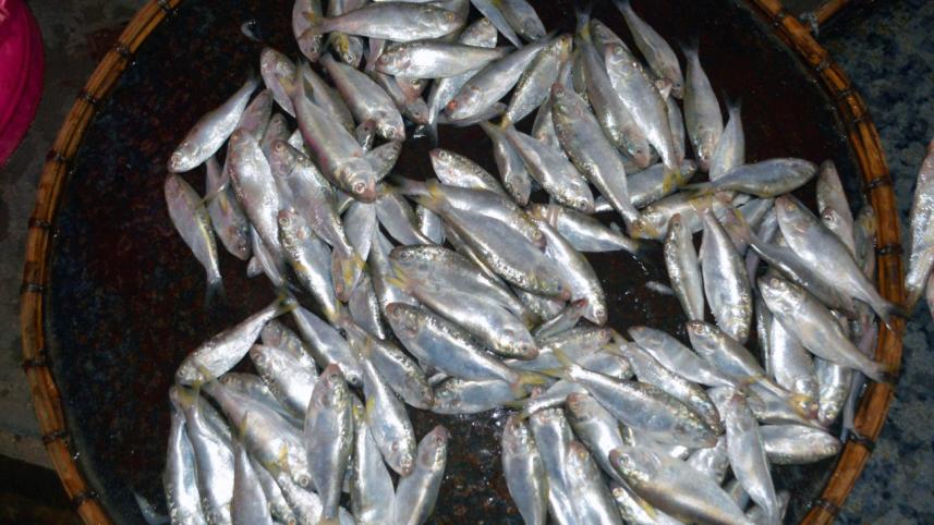 jatka.jpg