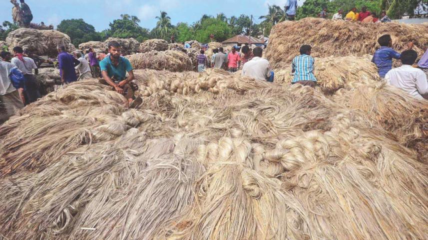 Jute-Bangladesh.jpg
