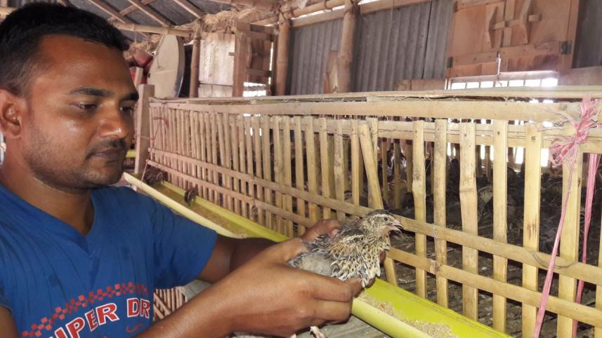 koel farmer.jpg