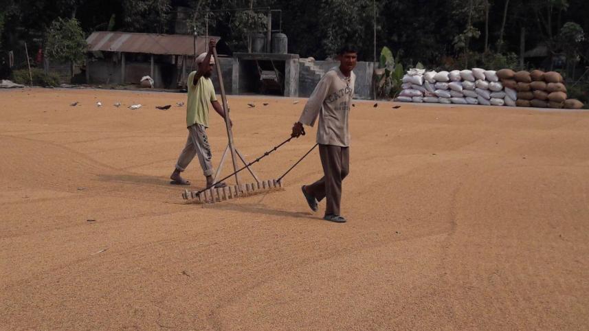 lalmonirhat_rice_mills.jpg
