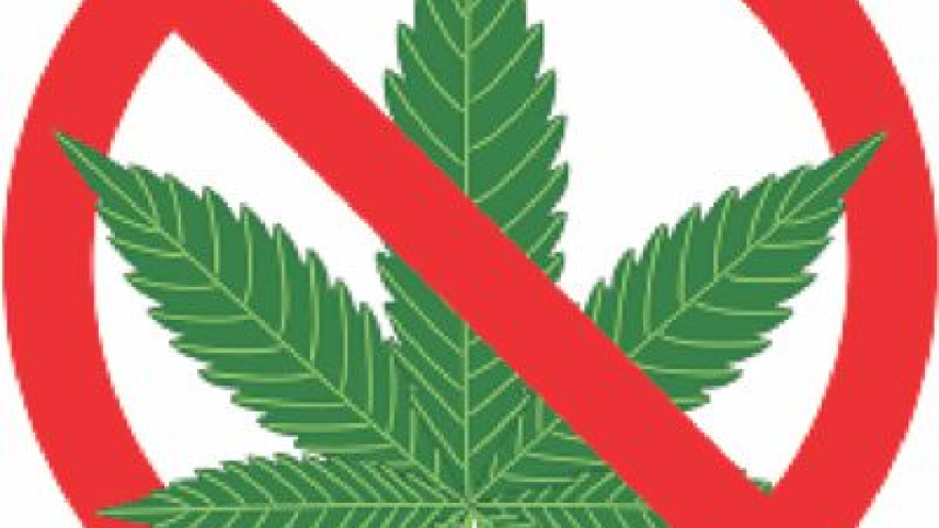 leaves.jpg