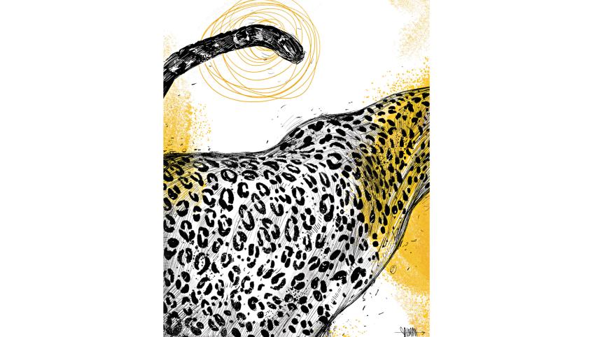 leopard.jpg