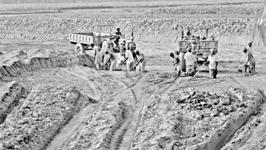 low paddy price.jpg