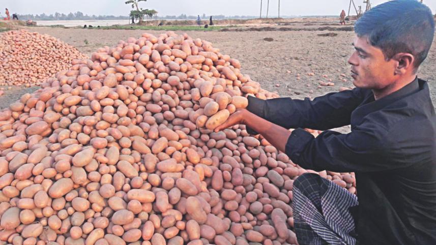 Low price potato.jpg