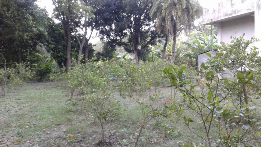 manikganj new.jpg