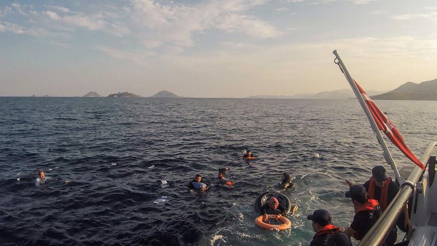migrants-web.jpg